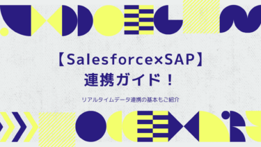 【Salesforce×SAP】連携ガイド！リアルタイムデータ連携の基本もご紹介